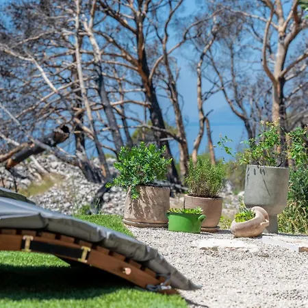 Moj Mir Holiday home